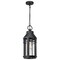 Nuvo Wilton - 1 Light Hanging Lantern - Matte Black with Clear Seeded Glass 60/8104 - alternate 1